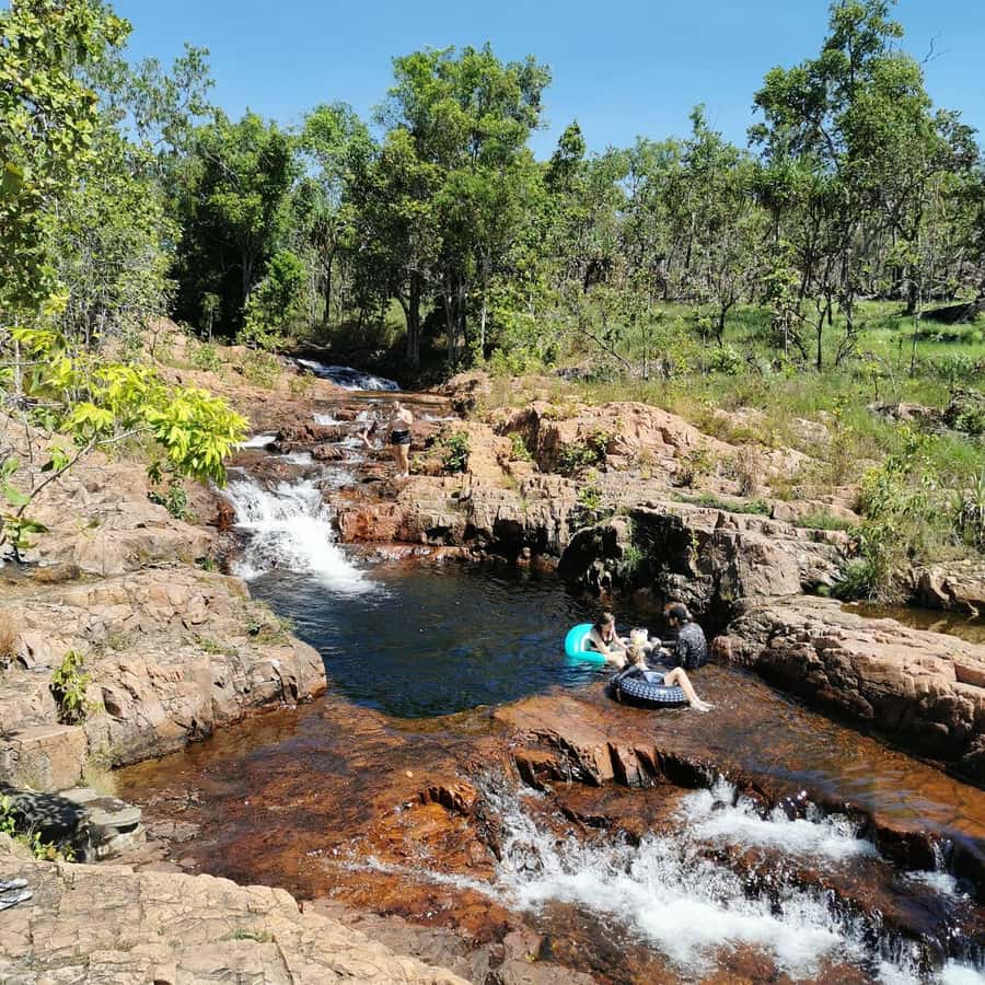 From Darwin: Litchfield National Park Small-Group Day Trip - Key points at a glance