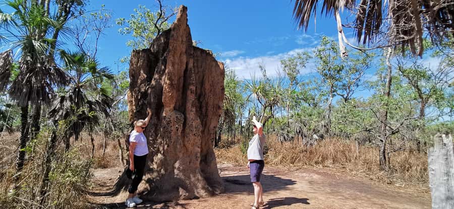 From Darwin: Litchfield National Park Small-Group Day Trip - Why Litchfield works so well as a day trip