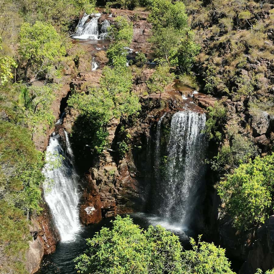 From Darwin: Litchfield National Park Small-Group Day Trip - Termite mounds are the park’s odd little masterpiece
