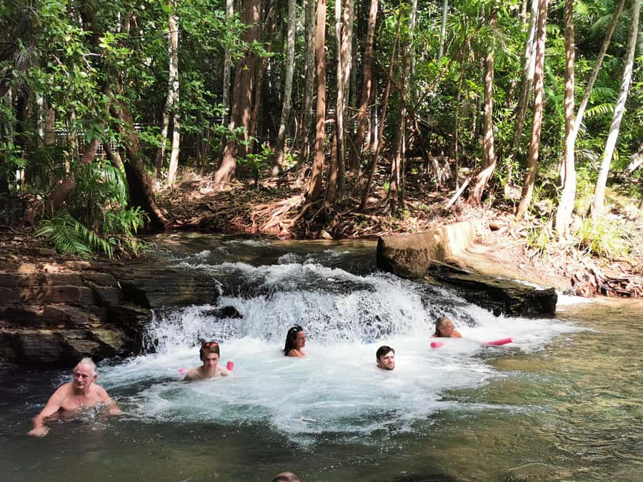 From Darwin: Litchfield National Park Small-Group Day Trip - Florence Falls combines a walk with a waterfall