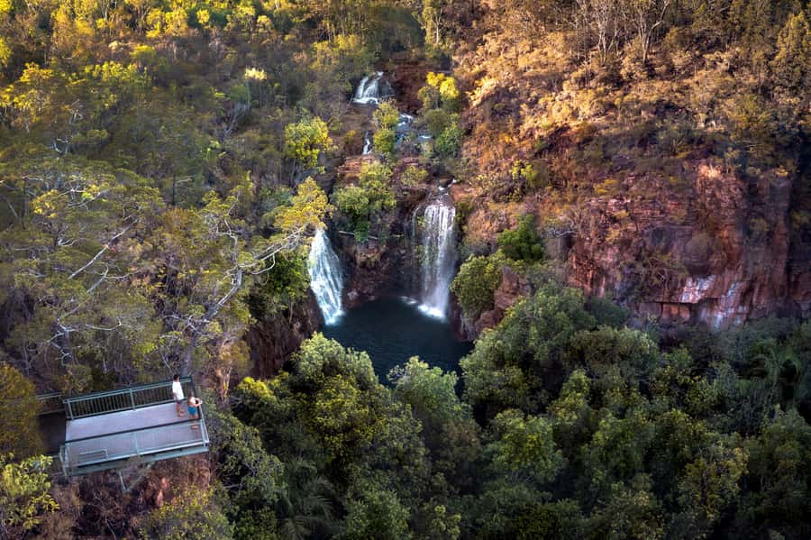 From Darwin: Litchfield National Park & Waterfalls Day Trip - Why Litchfield works so well as a day trip from Darwin