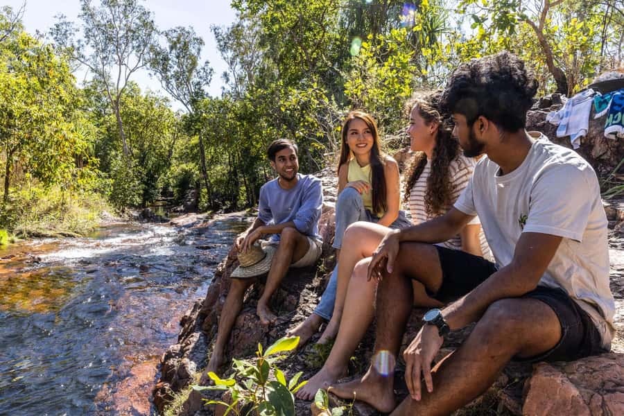From Darwin: Litchfield National Park & Waterfalls Day Trip - Magnetic Termite Mounds: strange, precise and worth the stop