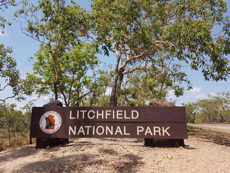 From Darwin: Litchfield National Park & Waterfalls Day Trip - Adelaide River: crocodiles or wetlands first