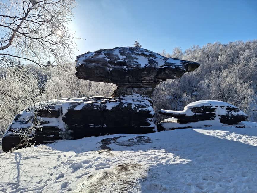 From Dresden: Bastei Bridge & Bohemian Switzerland Day Trip - Kamenice Gorge and the afternoon by boat