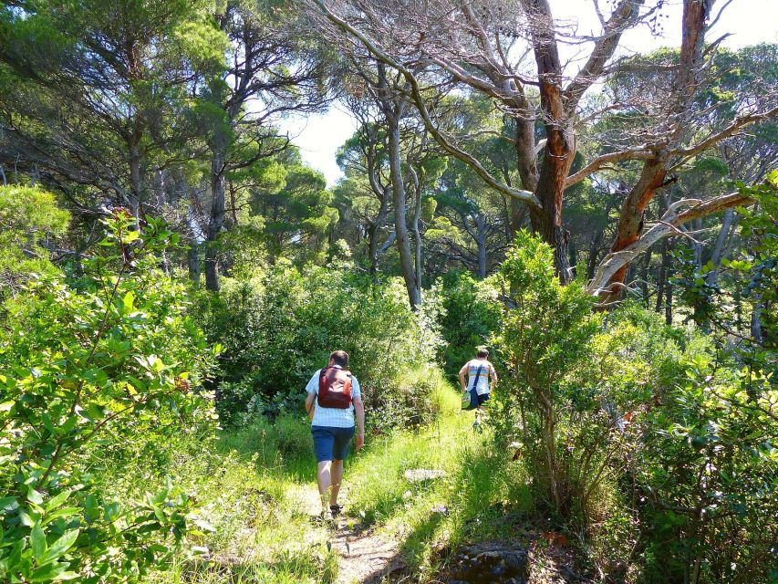 From Dubrovnik: Hiking & Swimming on Koločep Island Day Trip - Lunch at a family-run fish restaurant