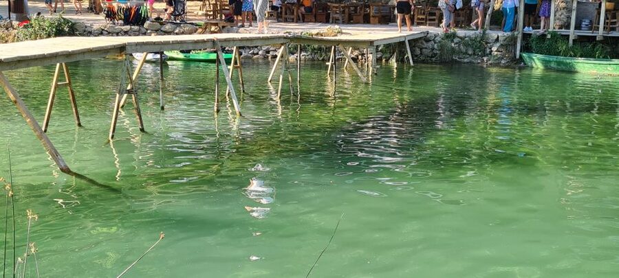 From Dubrovnik: Mostar and Kravica Waterfall Day Trip - The guides are a major part of the value