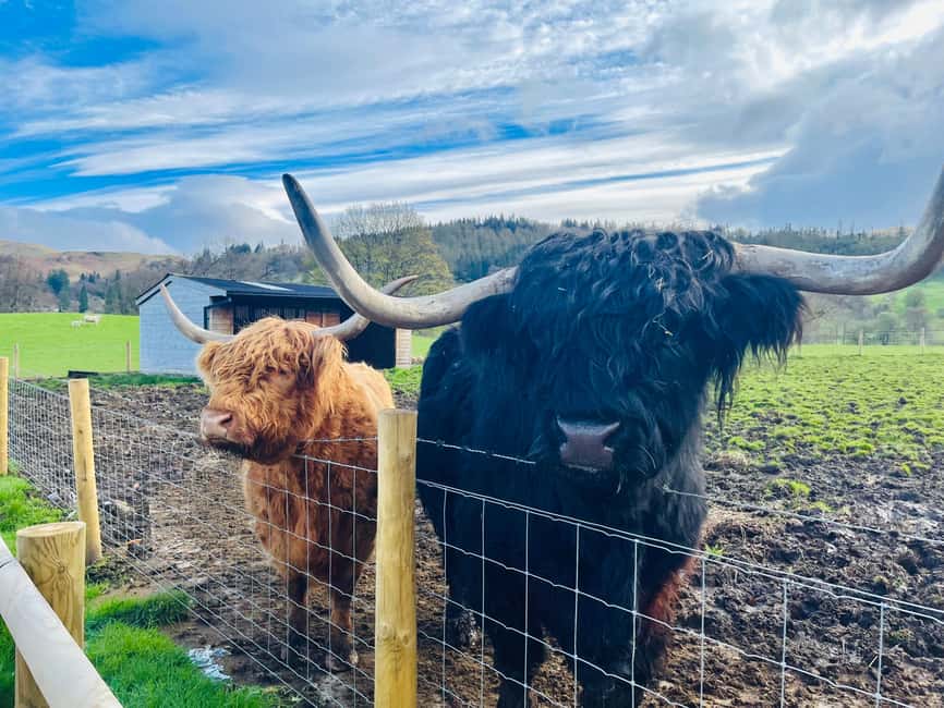 From Edinburgh: Loch Ness, Glencoe & The Highlands Day Trip - Key points at a glance