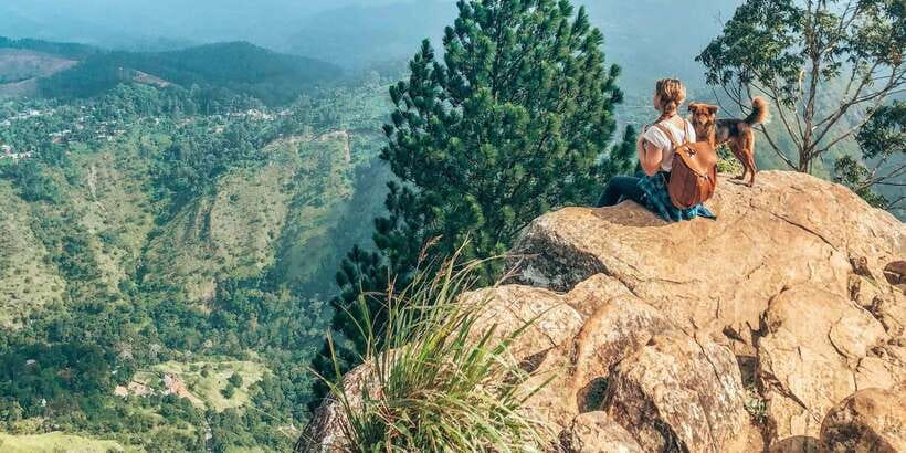 From Ella - All Inclusive Unforgettable Day Trip Tour - The Demodara to Ella train ride is the day’s highlight