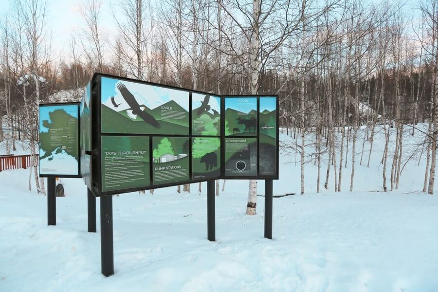 From Fairbanks: Arctic Circle Northern Lights Full-Day Trip - What this 14-hour Arctic Circle trip is really like