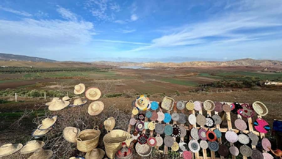 From Fes Day Trip to Meknes,Volubilis,Moulay Idriss Zerhoun - The Meknes timing needs attention