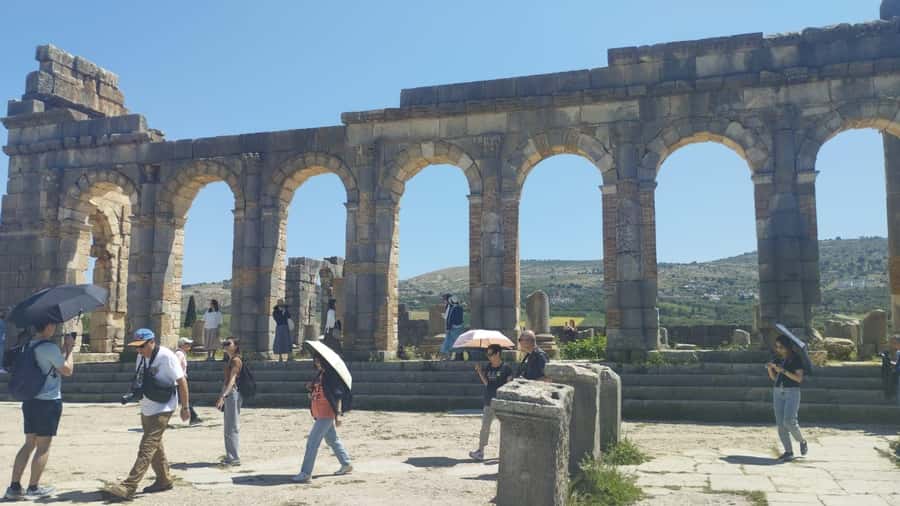 From Fes: Meknes Volubilis and Moulay Idriss Day Trip - Should you book it?