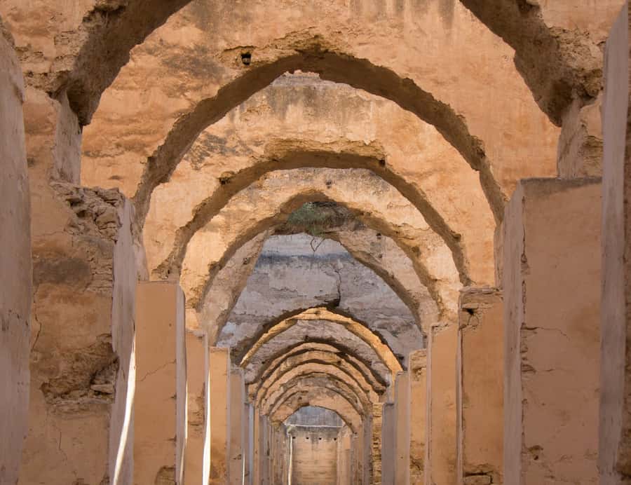 From Fes: Volubilis, Moulay Idriss and Meknes Full-Day Trip - Why this three-stop day works from Fes