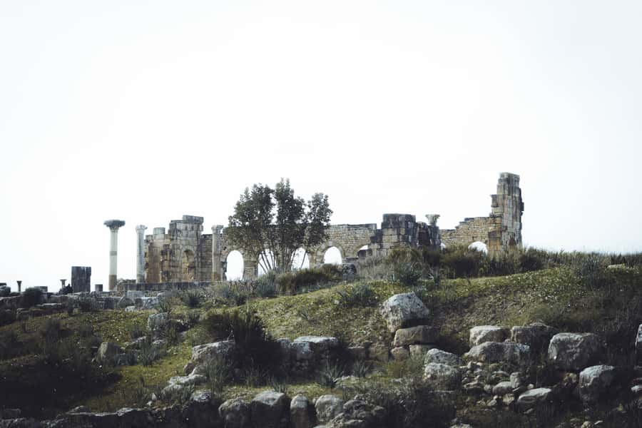 From Fes: Volubilis, Moulay Idriss and Meknes Full-Day Trip - Volubilis: the reason to make the trip