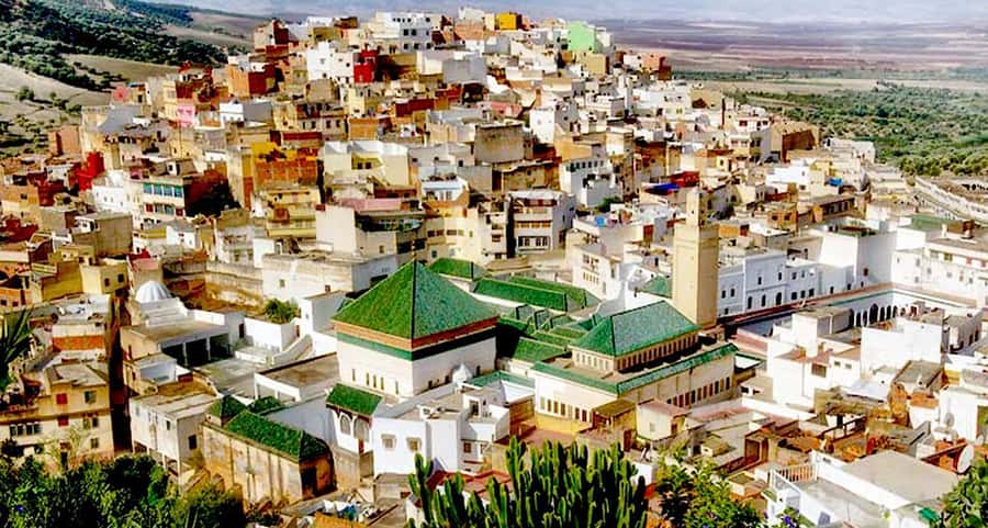 From Fes: Volubilis, Moulay Idriss, & Meknes Full-Day Trip - Walking through Volubilis