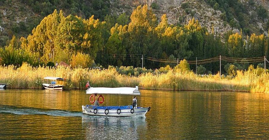 From Fethiye: Dalyan Day Trip with Mud Bath and Turtle Beach - A full day from Fethiye to the Dalyan River
