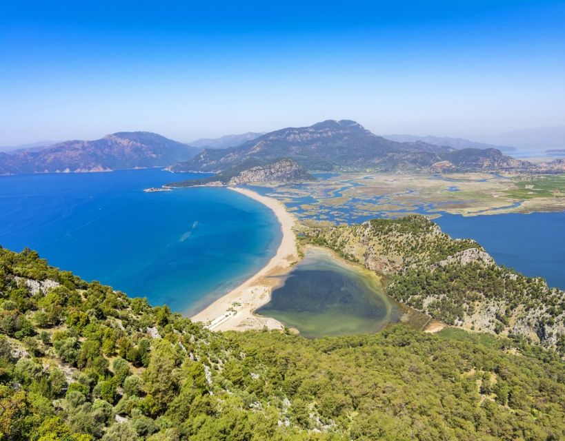 From Fethiye: Dalyan Day Trip with Mud Bath and Turtle Beach - How the $65 price measures up