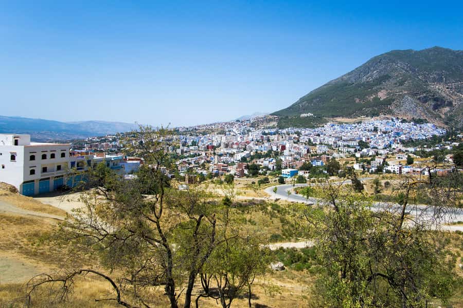 From Fez: Chefchaouen Day Trip with Hotel Pickup - Who should book this Fez day trip?