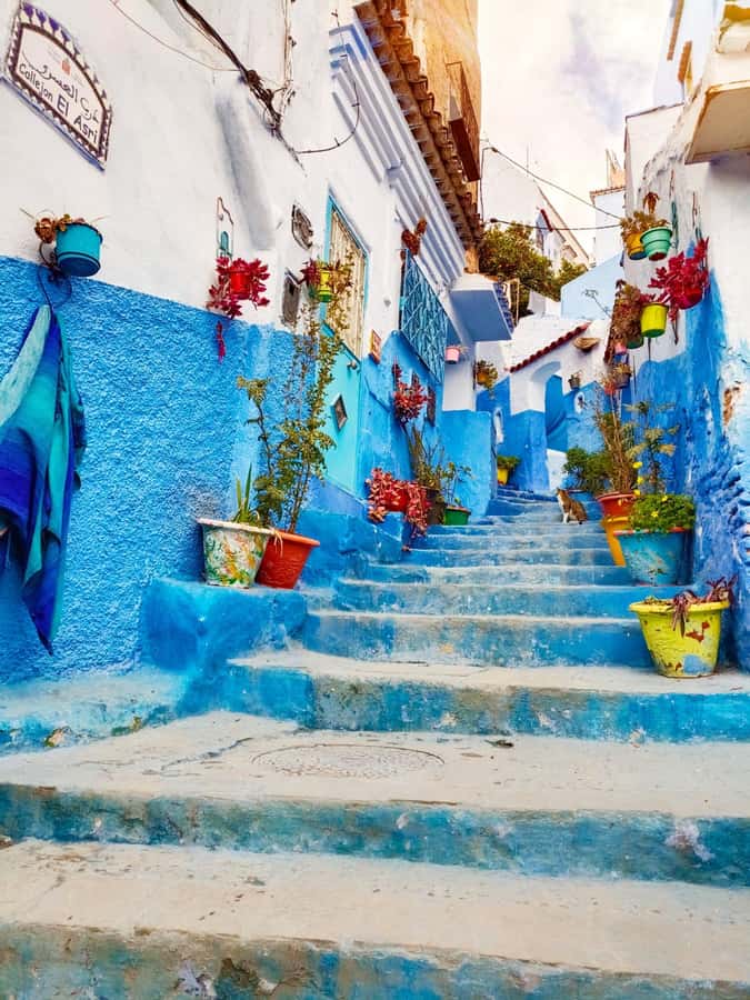From Fez : Memorable Day Trip to Chefchaouen the Blue City - Key points to know before booking