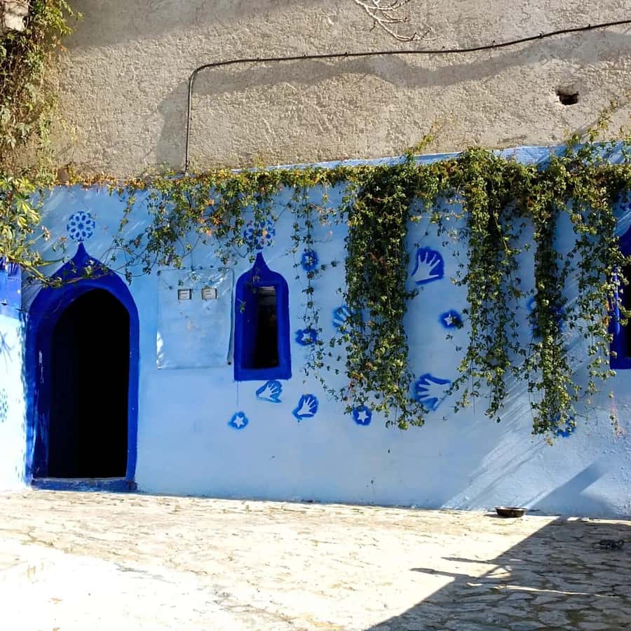 From Fez : Memorable Day Trip to Chefchaouen the Blue City - The long drive from Fez to the Rif Mountains