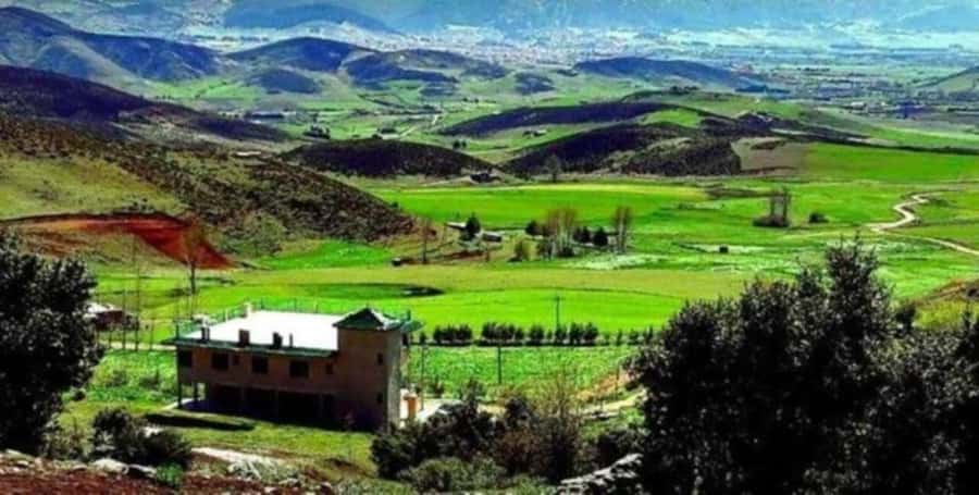 From Fez: Middle Atlas Ifran and Forest of Monkeys Day Trip - Ifrane, the mountain town with a stone lion