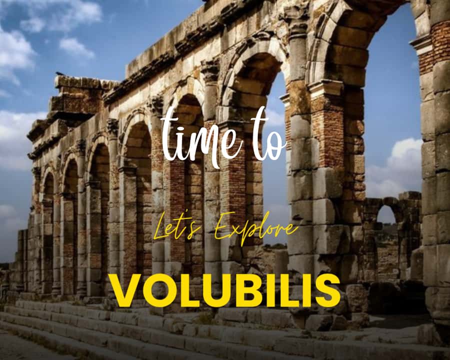 From Fez: Volubilis Moulay Idriss & Meknes Full-Day Trip - Key points to know before booking