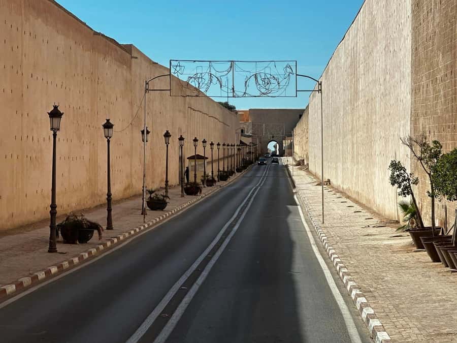 From Fez: Volubilis Moulay Idriss & Meknes Full-Day Trip - Driver, guide, and comfort expectations