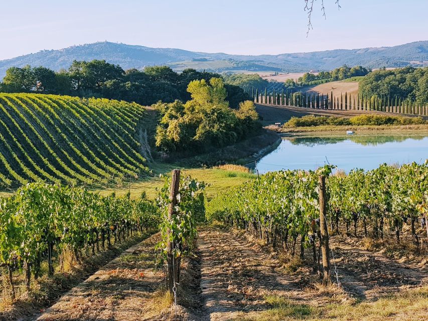 From Florence: Chianti Wine Tastings at Sunset Day Trip - Leaving Florence for Chianti after lunch