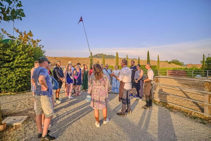 From Florence: Siena and Chianti Day Trip with Dinner - A Tuscan dinner at a working wine estate
