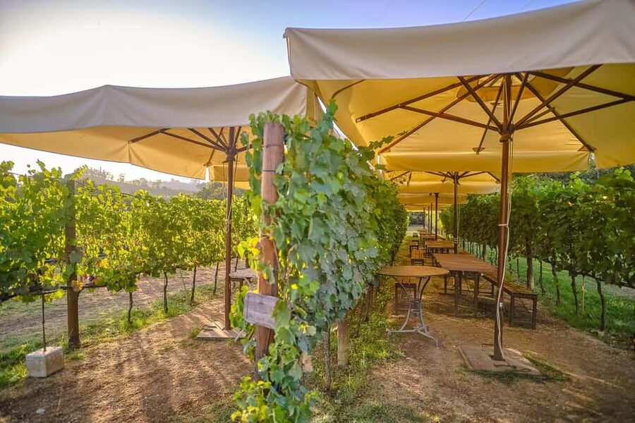 From Florence: Siena and Chianti Day Trip with Dinner - How the guides and driver affect the day
