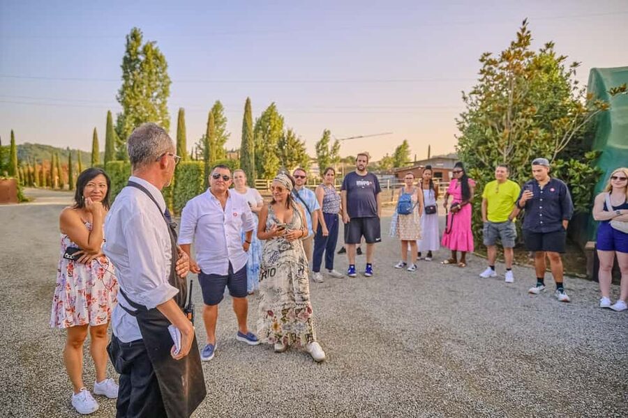 From Florence: Siena and Chianti Day Trip with Dinner - Who should book this Siena and Chianti trip?