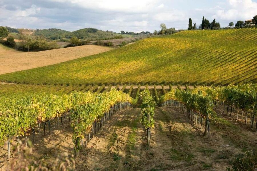 From Florence: Tuscany Day Trip to Siena & San Gimignano - Who should book this day trip?