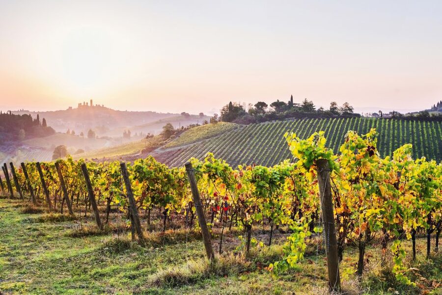 From Florence: Tuscany Day Trip to Siena & San Gimignano - The 90-minute ride through Chianti