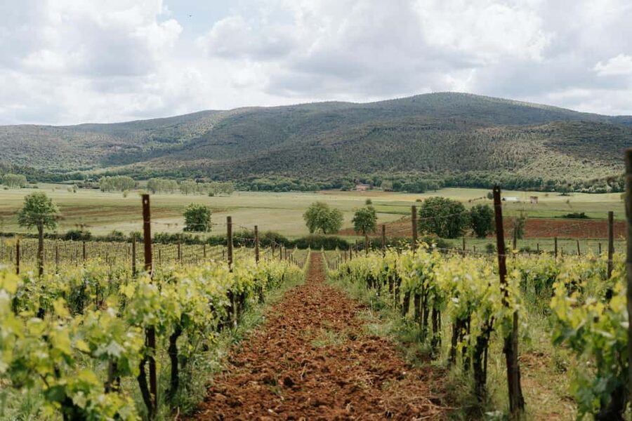 From Florence: Ultimate Tuscany Day Trip with Wine & Lunch - The Chianti winery lunch is the main event