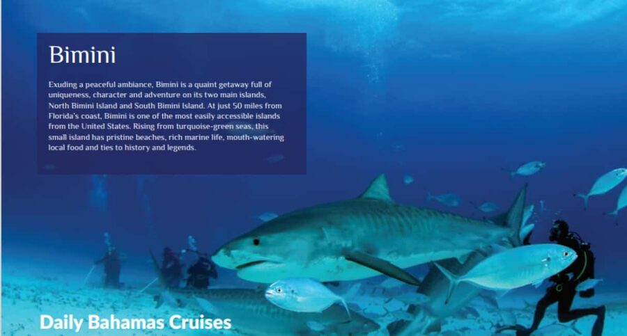 From Fort Lauderdale: Bimini Island Day Trip by Ferry - Immigration, passports, and special practical concerns