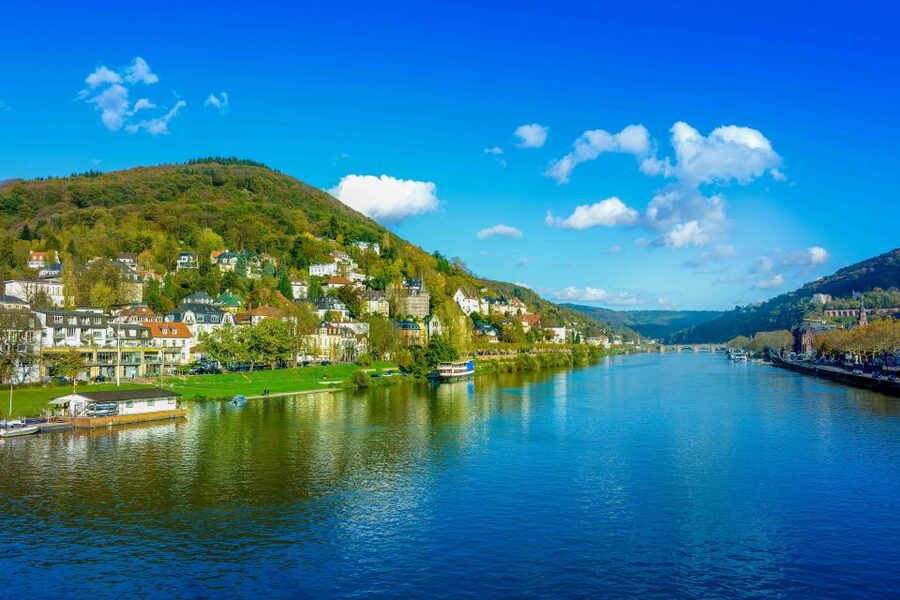 From Frankfurt: Rhine Valley Day Trip - Rüdesheim and the Niederwald Monument