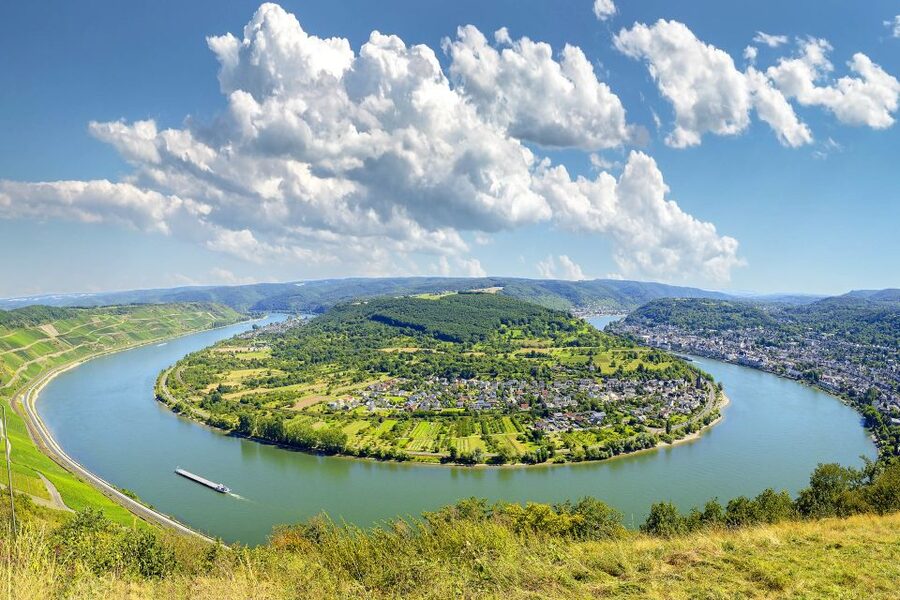 From Frankfurt: Rhine Valley Day Trip - Assmannshausen, lunch, and the most unusual stop