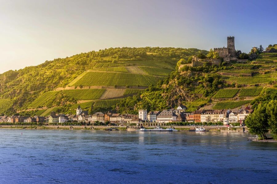 From Frankfurt: Rhine Valley Day Trip - The short wine lesson in a local tavern
