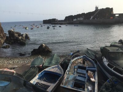 From Funchal: West Madeira and Laurel Forest Day Trip