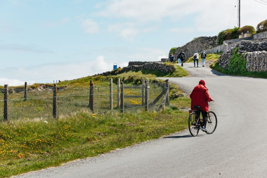 From Galway: Aran Islands & Cliffs of Moher Full-Day Trip - Who should book this experience?