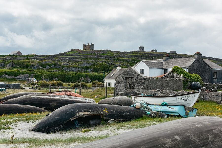 From Galway: Aran Islands & Cliffs of Moher Full-Day Trip - Is $85 a good price?