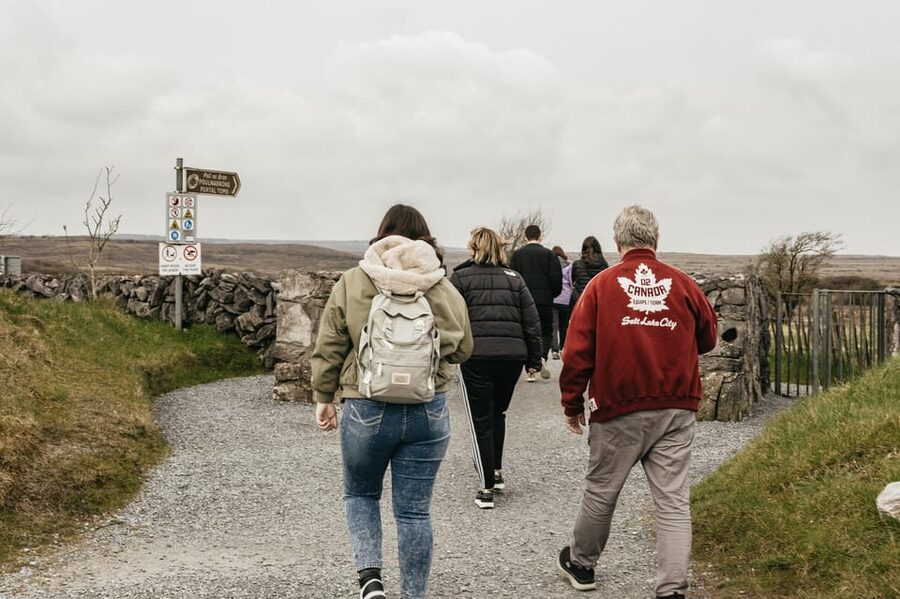From Galway: Cliffs of Moher and The Burren Guided Day Trip - Who should book this trip