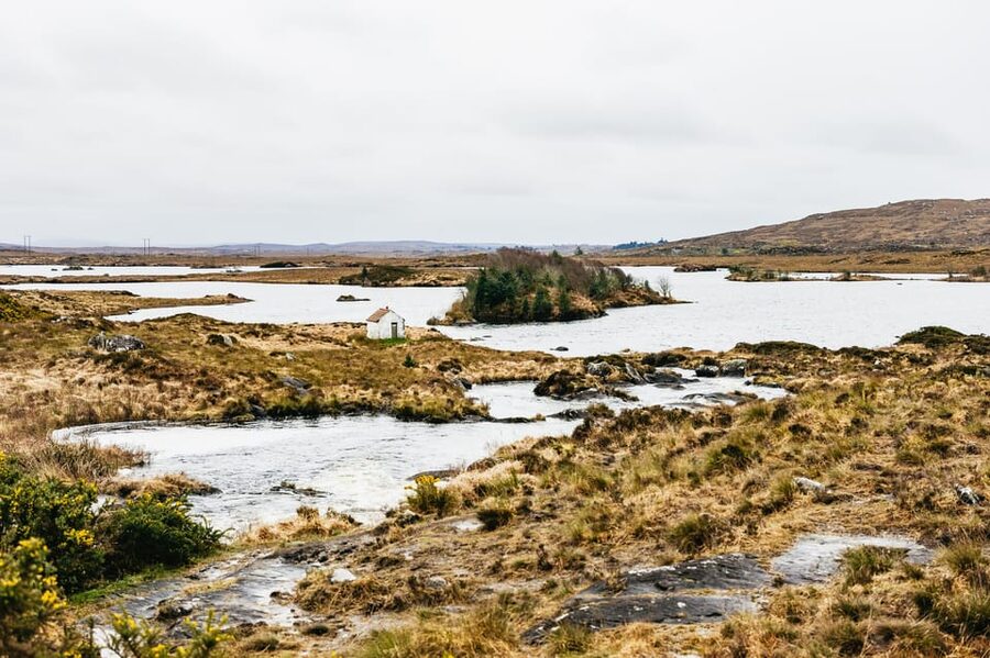 From Galway: Connemara and Connemara National Park Day Trip - Three hours at Kylemore Abbey and its gardens