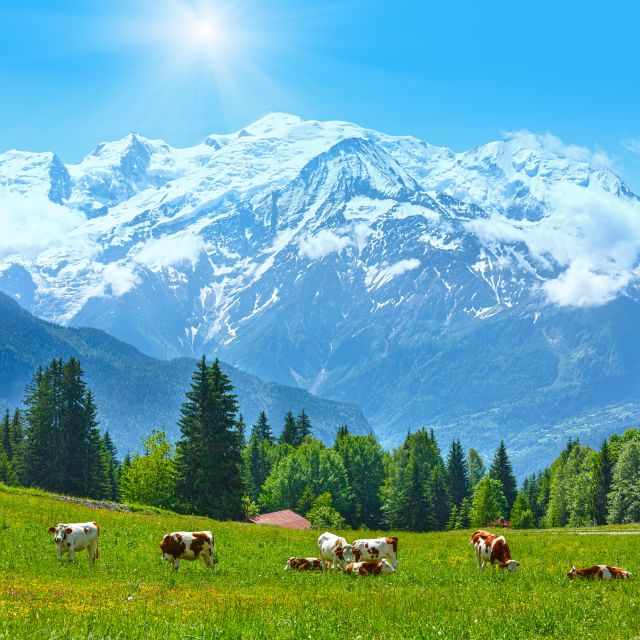 From Geneva: Chamonix Mont-Blanc Private Day Trip - How the private minibus affects the day