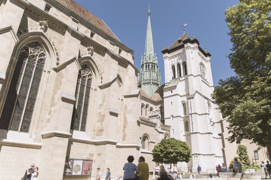 From Geneva: Guided Day Trip to Chamonix & Geneva City Tour - Who will enjoy this combination?