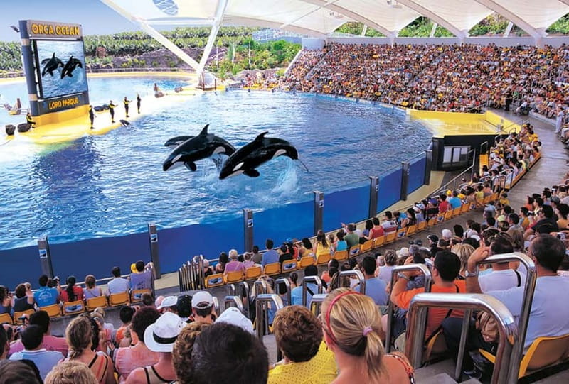 From Gran Canaria: Day Trip to Loro Parque Tenerife - Food, drinks, and daily costs