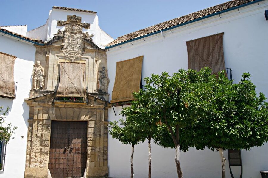 From Granada: Córdoba Day Trip with Mezquita Guided Tour - Inside the Mezquita with an official guide