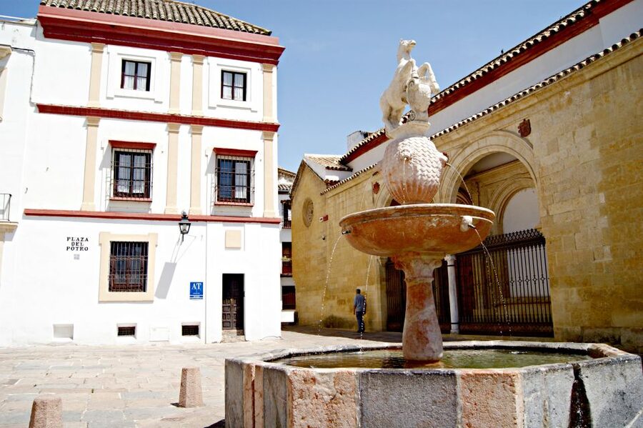 From Granada: Córdoba Day Trip with Mezquita Guided Tour - What the $194 price really covers