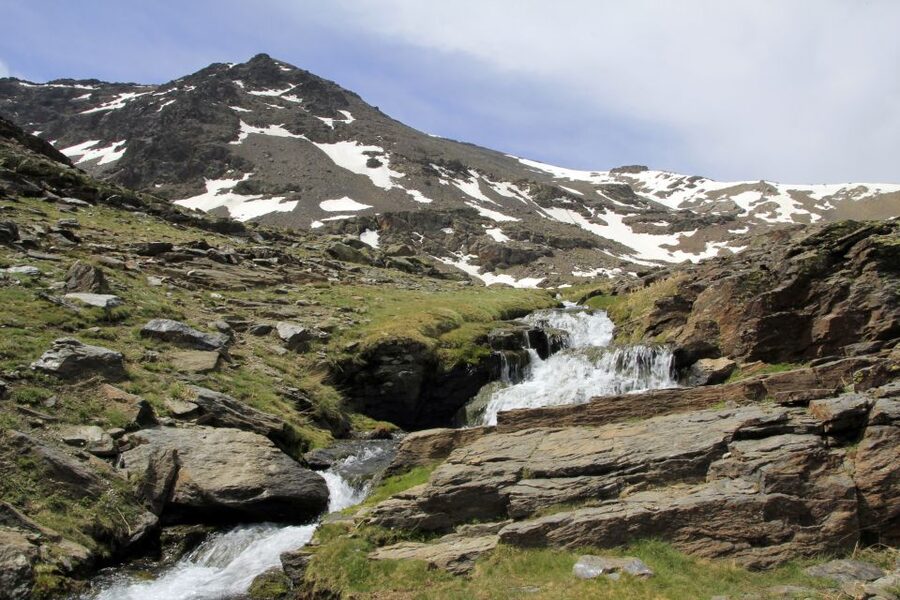 From Granada: Sierra Nevada Guided Day Trip - Who should book this Sierra Nevada day trip?