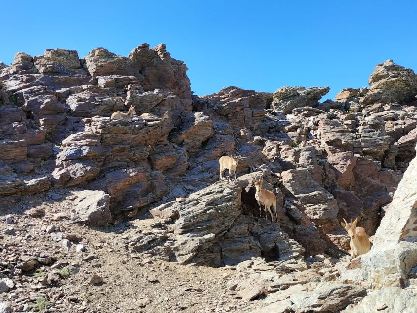 From Granada: Sierra Nevada Guided Day Trip - What the guides add to the day