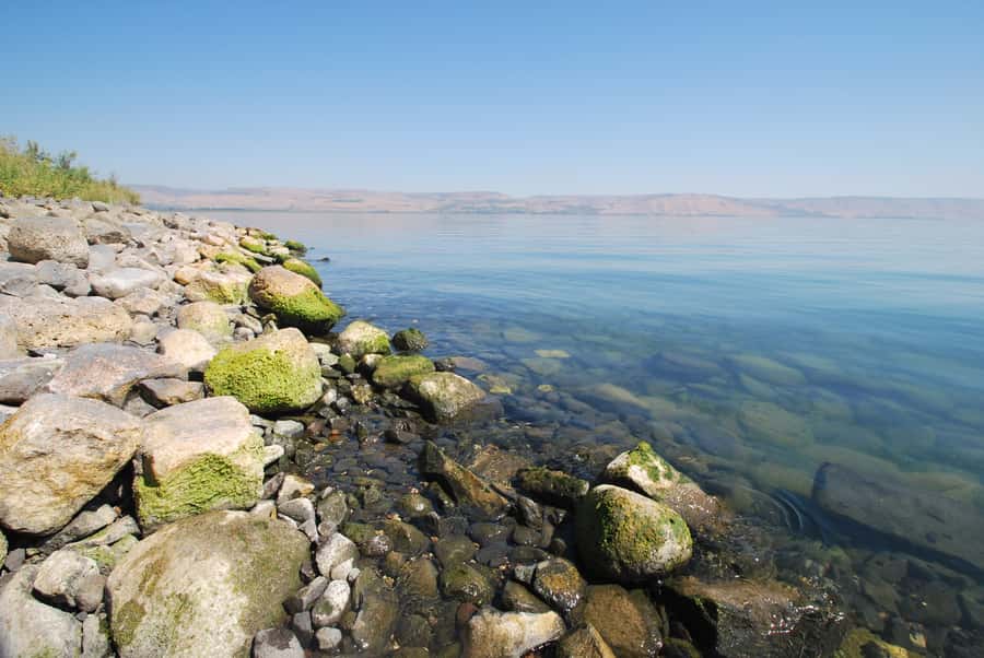From Haifa: Guided Day Trip to Nazareth and Sea of Galilee - Key points to know before booking